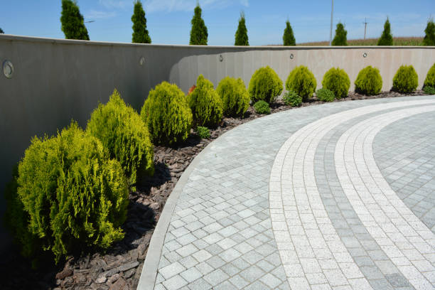 Best Driveway Pavers Near Me  in Greensboro, NC